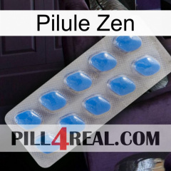 Zen Pill 22